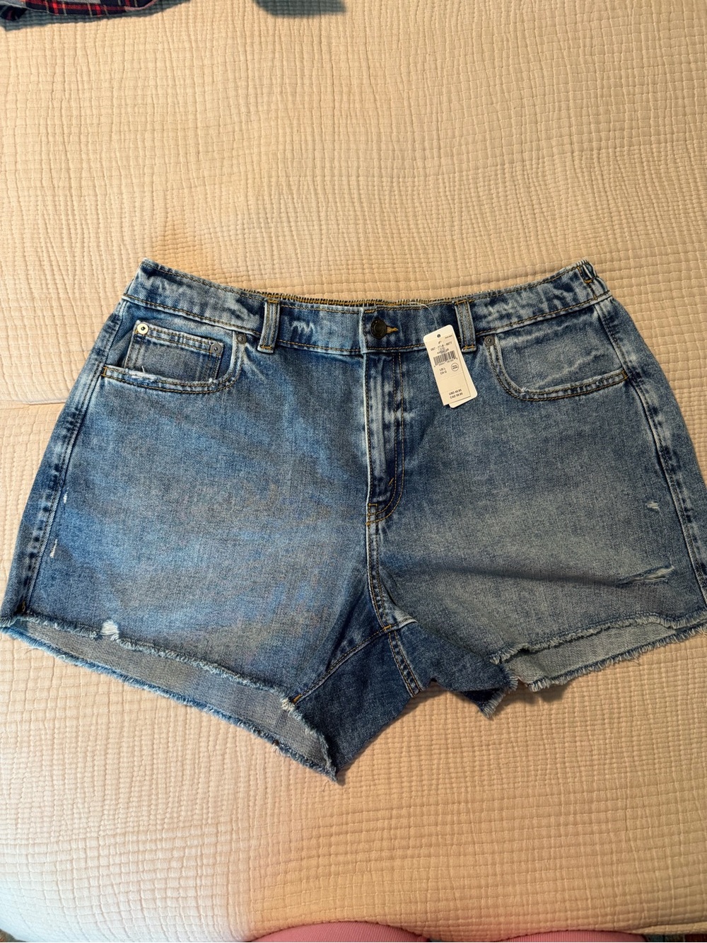 Aerie Denim Shorts